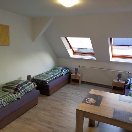 Flex Aparts - Grosse, Moeblierte Wohnung In Zwickau Mit 2 Zimmern Exteriér fotografie